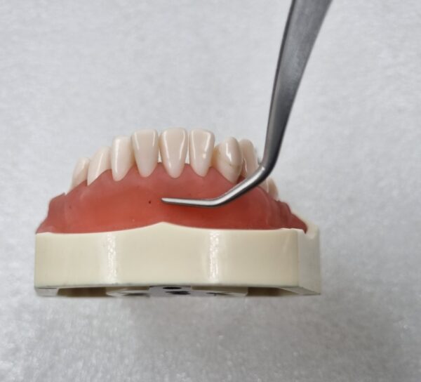 Julldent 187 Tunnelling Forcep - Image 8