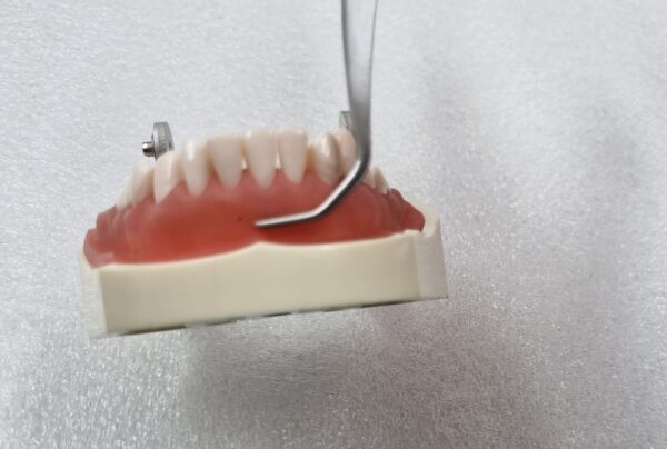 Julldent 187 Tunnelling Forcep - Image 7