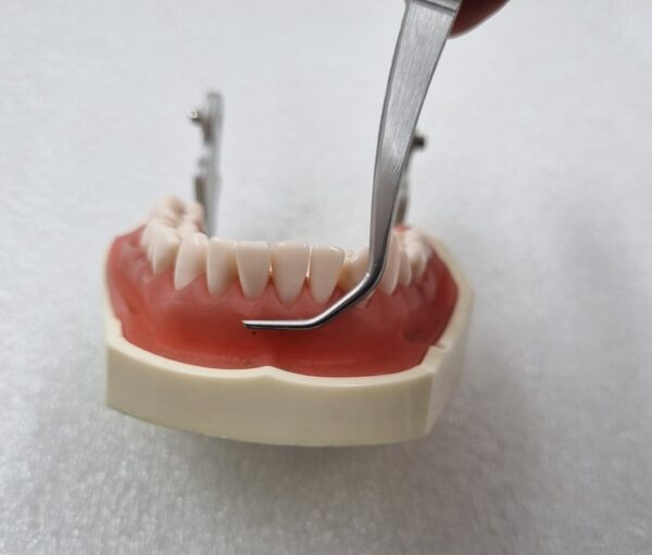 Julldent 187 Tunnelling Forcep - Image 5